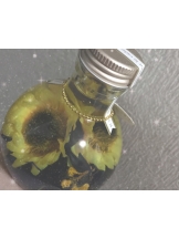 月紅 - ひなたの女の子ブログ画像