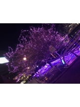 月紅 - ひなたの女の子ブログ画像