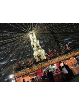 月紅 - ひなたの女の子ブログ画像