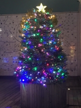 月紅 - ひなたの女の子ブログ画像