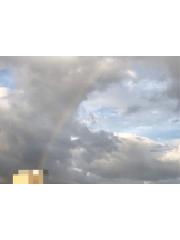 月紅 - ひなたの女の子ブログ画像