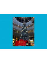 月紅 - ひなたの女の子ブログ画像