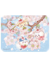 月紅 - ひなたの女の子ブログ画像