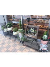 月紅 - ひなたの女の子ブログ画像