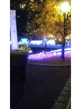 月紅 - あおいの女の子ブログ画像