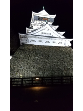 月紅 - あおいの女の子ブログ画像