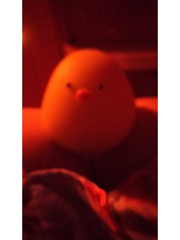 月紅 - あおいの女の子ブログ画像