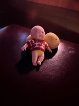 月紅 - あおいの女の子ブログ画像