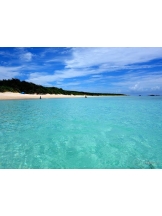 月紅 - 碧 あおの女の子ブログ画像