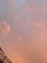 月紅 - 碧 あおの女の子ブログ画像