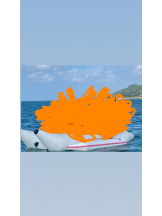 PANDORA - かのんの女の子ブログ画像