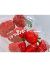 月紅 - 美蘭の女の子ブログ画像