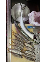 ViVian - あゆかの女の子ブログ画像