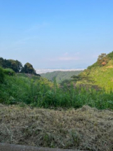 ViVian - あゆかの女の子ブログ画像