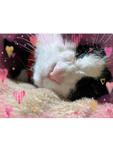 黒崎OIRAN - そらの女の子ブログ画像