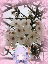 黒崎OIRAN - そらの女の子ブログ画像