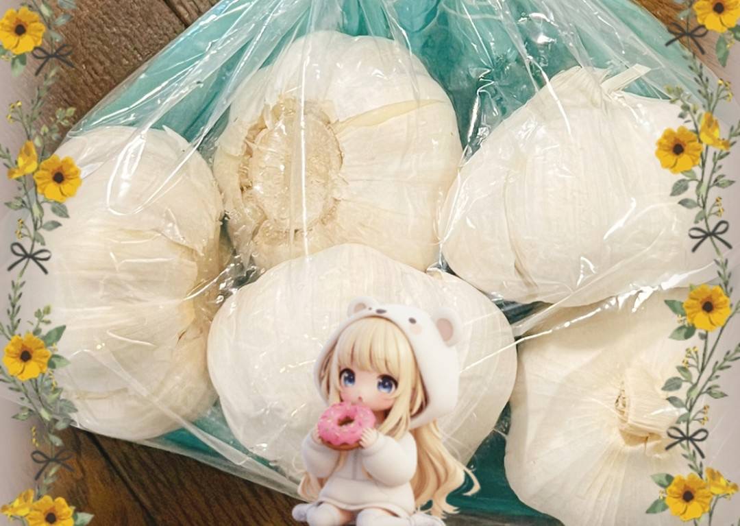女の子ブログ添付画像1