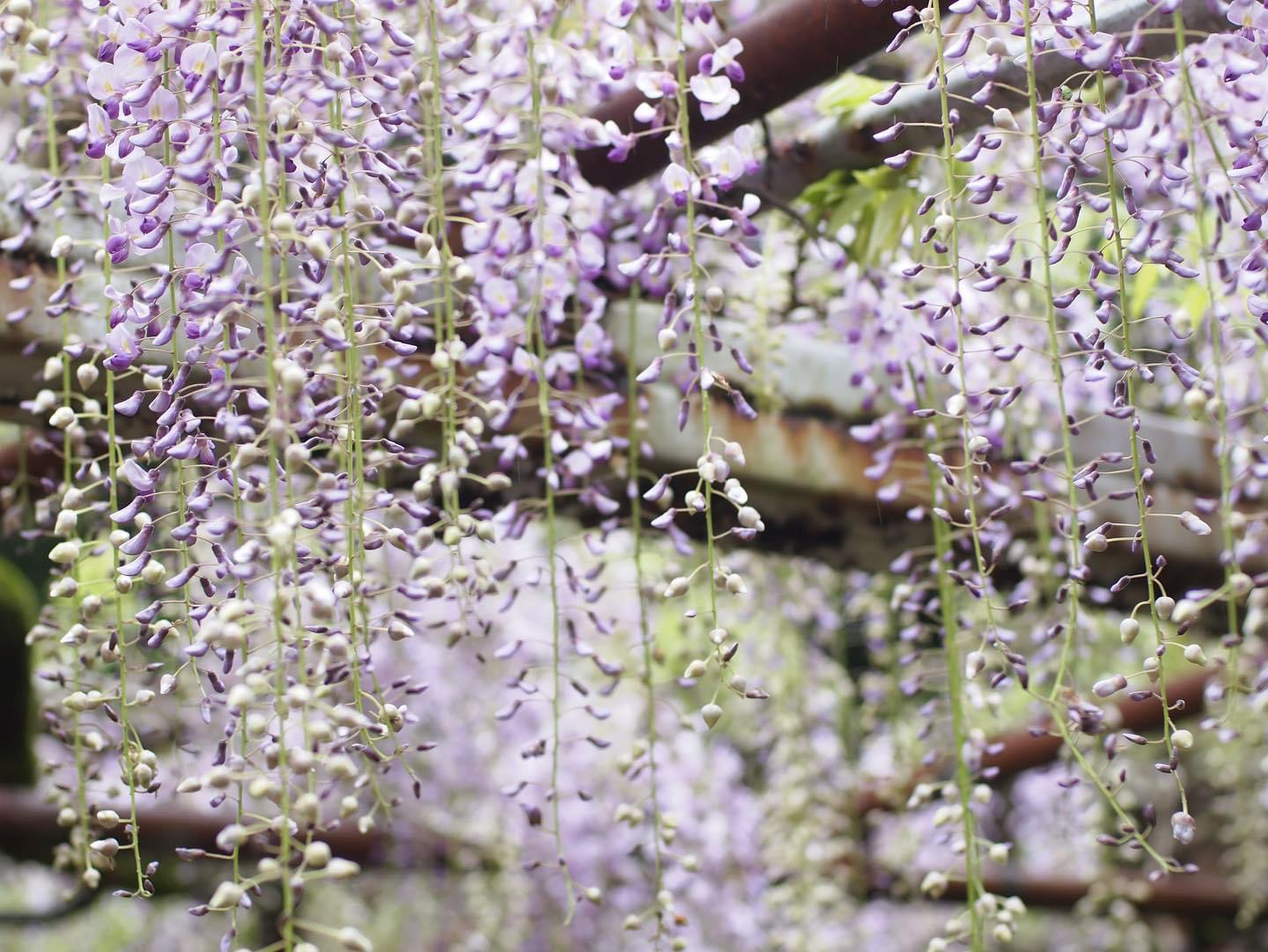 女の子ブログ添付画像1