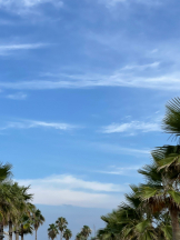 黒崎OIRAN - れいなの女の子ブログ画像