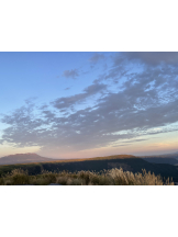 黒崎OIRAN - れいなの女の子ブログ画像