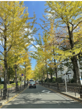 黒崎OIRAN - れいなの女の子ブログ画像