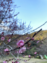 黒崎OIRAN - れいなの女の子ブログ画像