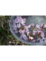 黒崎OIRAN - れいなの女の子ブログ画像