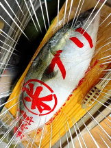 黒崎OIRAN - 黒崎OIRAN 広報部長 ランちゃんの女の子ブログ画像