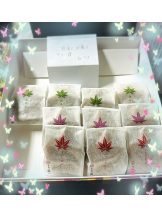 黒崎OIRAN - 黒崎OIRAN 広報部長 ランちゃんの女の子ブログ画像