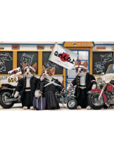 黒崎OIRAN - 黒崎OIRAN 広報部長 ランちゃんの女の子ブログ画像