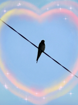 黒崎OIRAN - 黒崎OIRAN 広報部長 ランちゃんの女の子ブログ画像