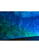 黒崎OIRAN - 美桜の女の子ブログ画像