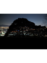 黒崎OIRAN - 美桜の女の子ブログ画像