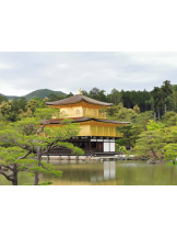 黒崎OIRAN - くるみの女の子ブログ画像