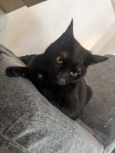 God Field - ゆうきの女の子ブログ画像