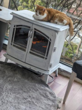 God Field - ゆうきの女の子ブログ画像