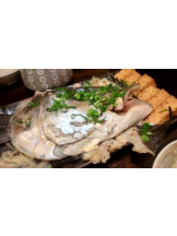 God Field - ゆうきの女の子ブログ画像