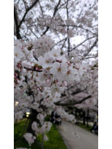 God Field - ゆうきの女の子ブログ画像