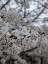 God Field - ゆうきの女の子ブログ画像