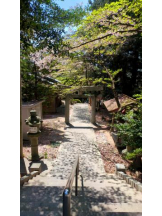 God Field - ゆうきの女の子ブログ画像