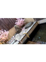 God Field - ゆうきの女の子ブログ画像