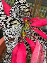 God Field - ゆうきの女の子ブログ画像