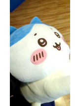 God Field - ゆうきの女の子ブログ画像