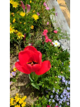 God Field - ゆうきの女の子ブログ画像