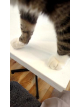 God Field - ゆうきの女の子ブログ画像