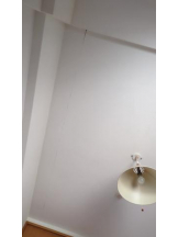 God Field - ゆうきの女の子ブログ画像