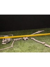 God Field - ゆうきの女の子ブログ画像