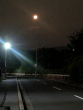 God Field - ゆうきの女の子ブログ画像