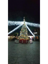 God Field - ゆうきの女の子ブログ画像