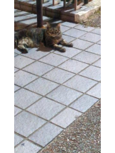 God Field - ゆうきの女の子ブログ画像